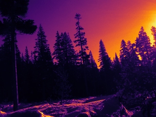 cmimage2