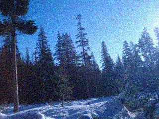 noiseimg3