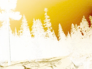 crimage3