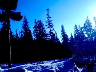 crimage2