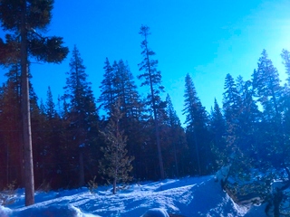 sat2