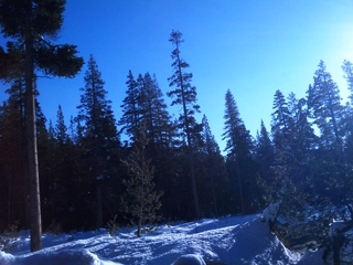 crimage4